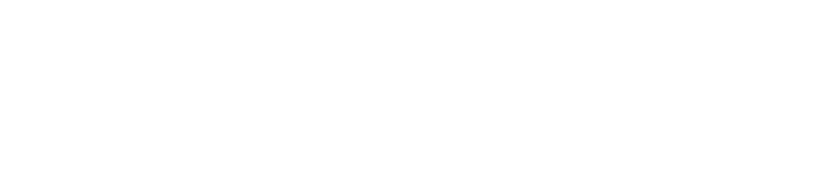 Bominox Logo